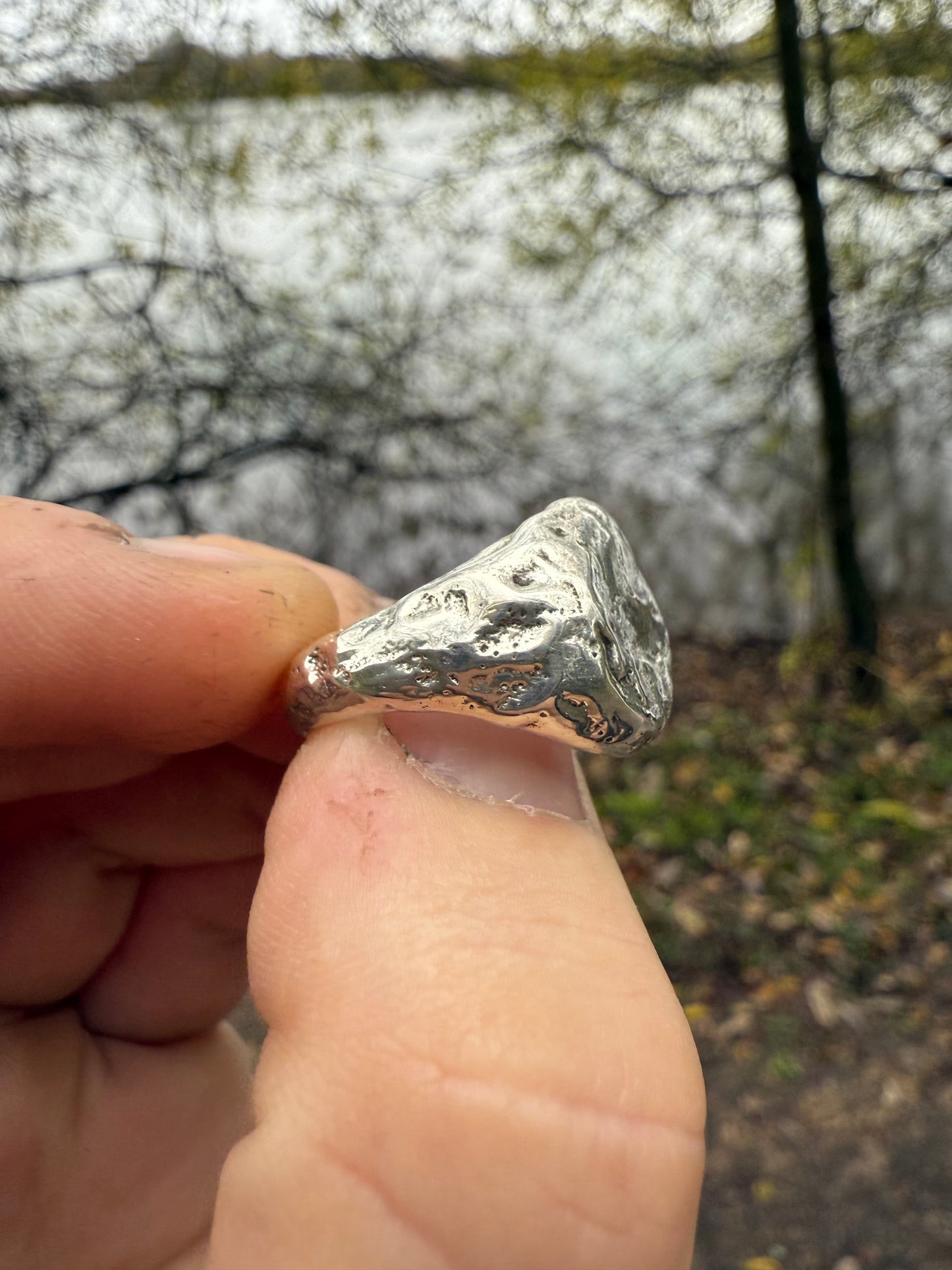 Chevalière brute v2